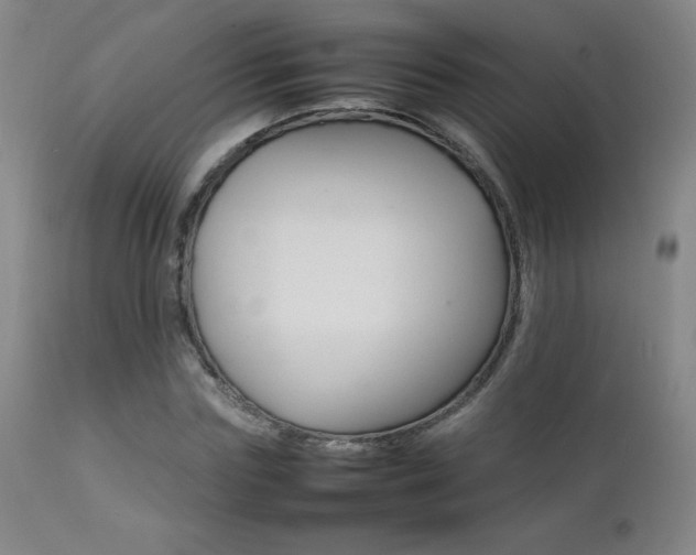 X0000111230827200907021356