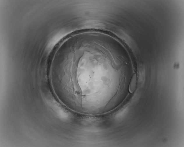 X0000111230830200907021356