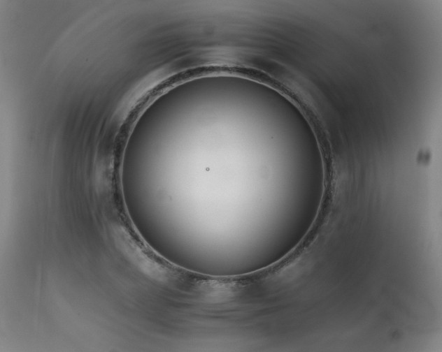 X0000111230831200907021357
