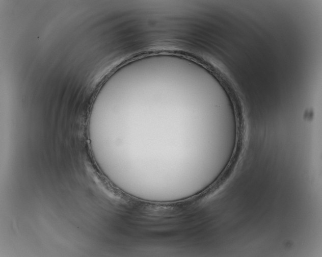 X0000111230833200907021357