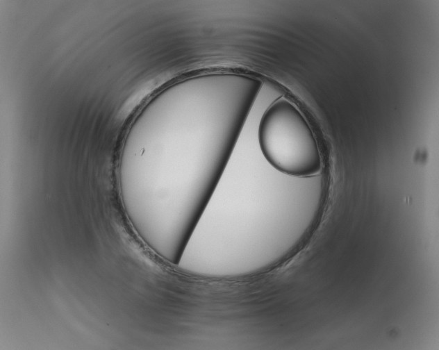 X0000111230834200907021357