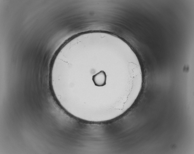 X0000111230836200907021357
