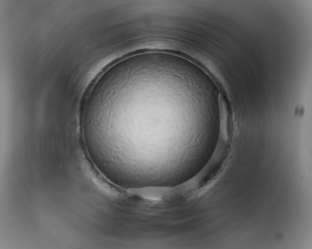 X0000111230837200907021357