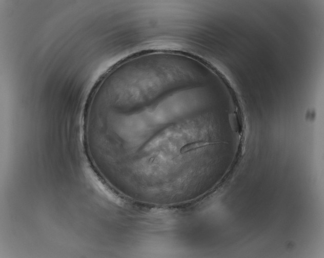 X0000111230840200907021357