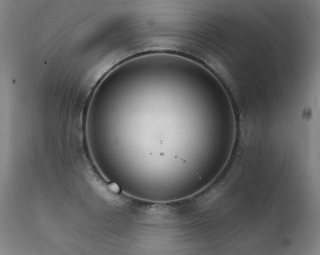 X0000111230842200907021357