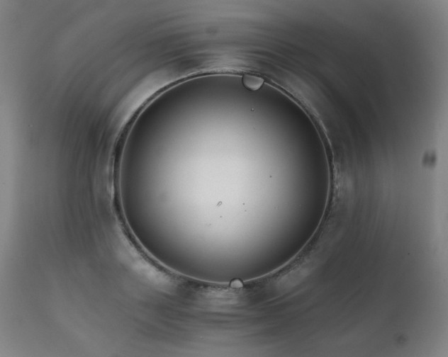 X0000111230843200907021357