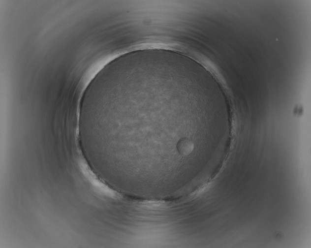 X0000111230844200907021357