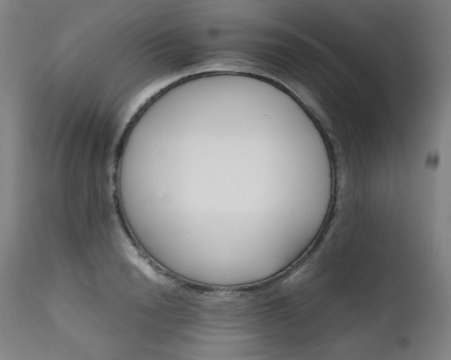 X0000111230846200907021357