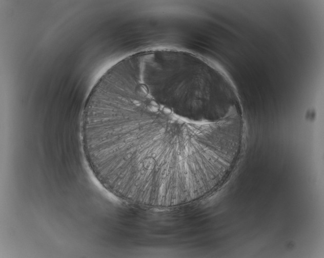 X0000111230847200907021357