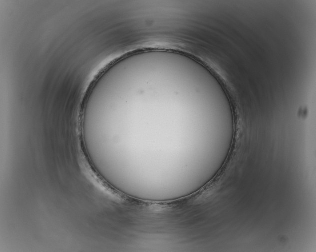 X0000111230848200907021357