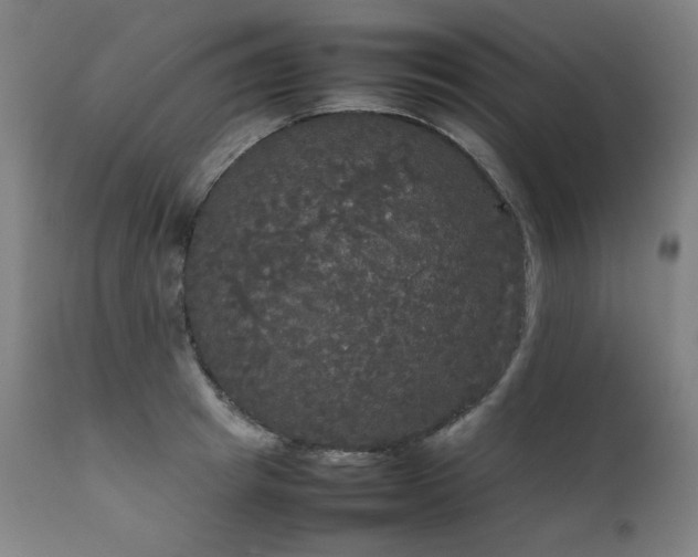 X0000111230849200907021357