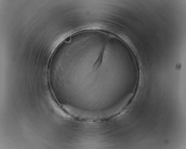 X0000111230850200907021357