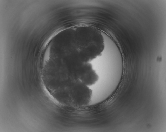 X0000111230851200907021357