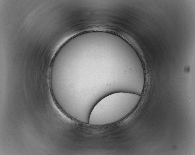X0000111230855200907021357