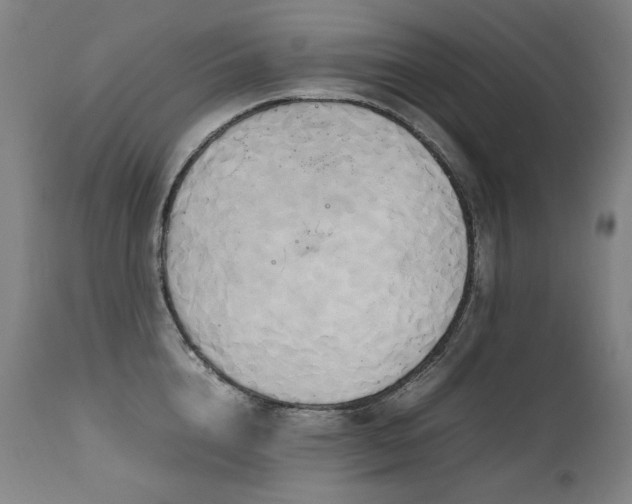 X0000111230856200907021357