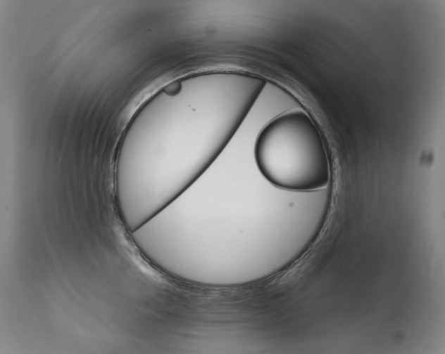 X0000111230858200907021357