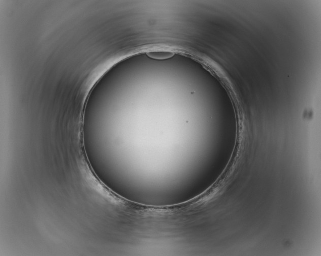 X0000111230860200907021357