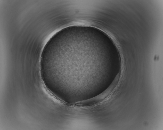 X0000111230864200907021357