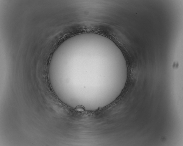 X0000111230865200907021356