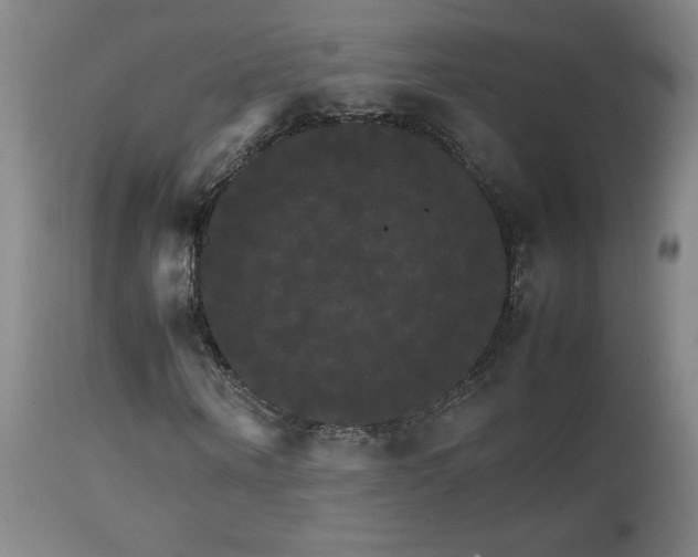 X0000111230866200907021356