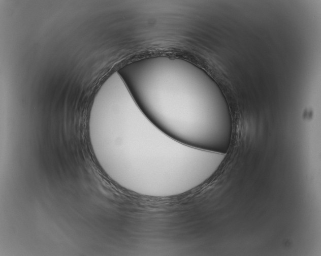 X0000111230868200907021356