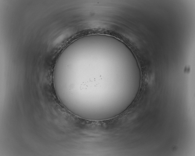 X0000111230869200907021356