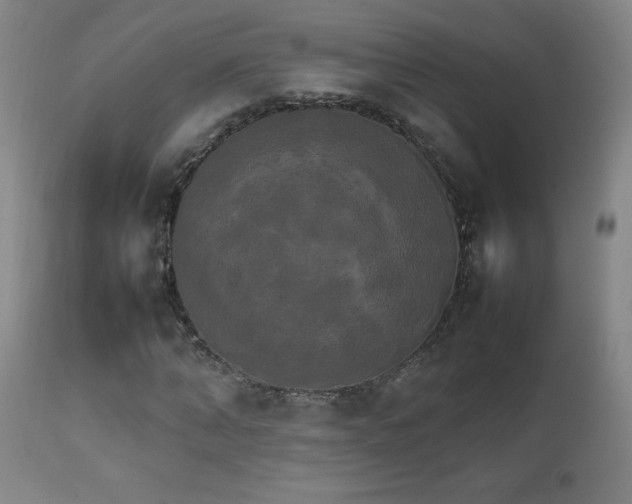 X0000111230870200907021356