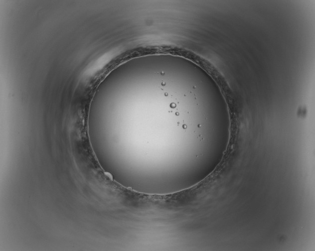 X0000111230871200907021356