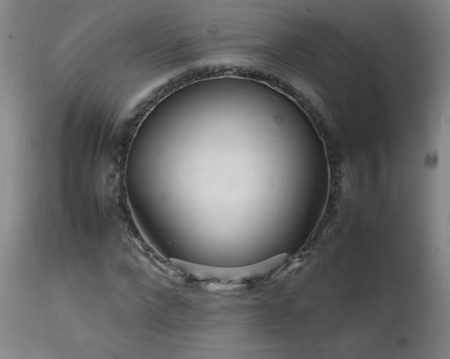 X0000111230872200907021356