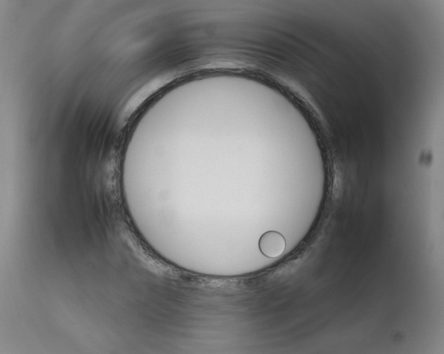 X0000111230874200907021356