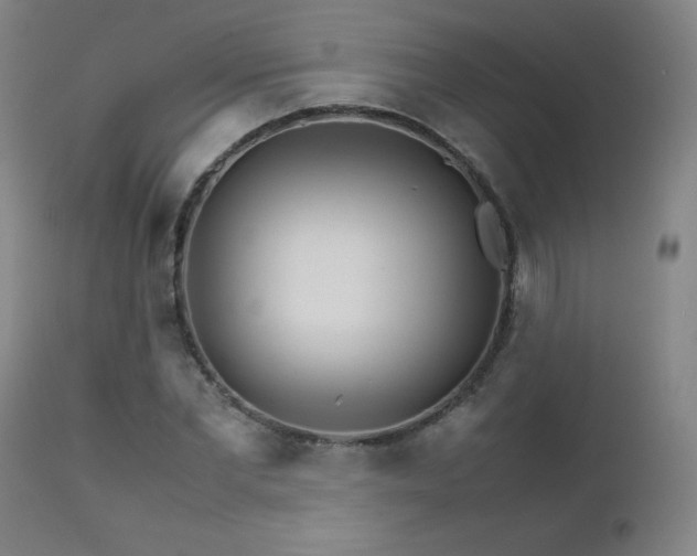 X0000111230877200907021356