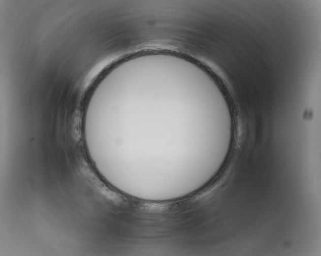 X0000111230878200907021356