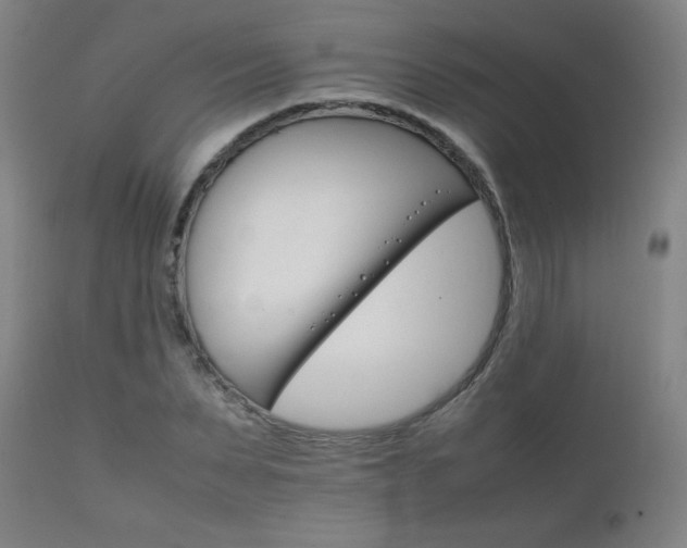 X0000111230879200907021356