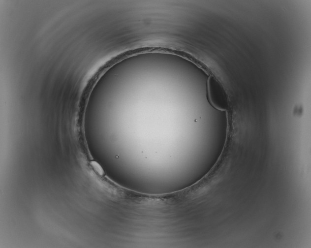 X0000111230880200907021356