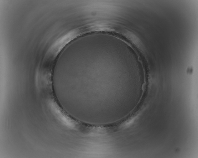 X0000111230881200907021356