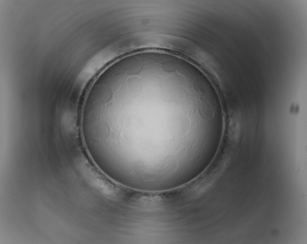 X0000111230882200907021356