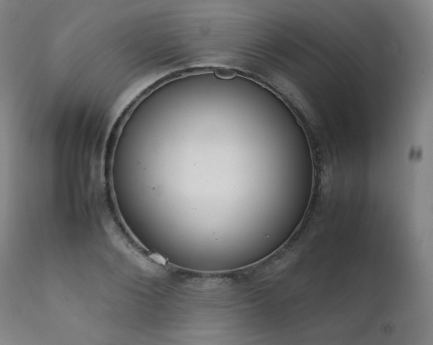 X0000111230884200907021356