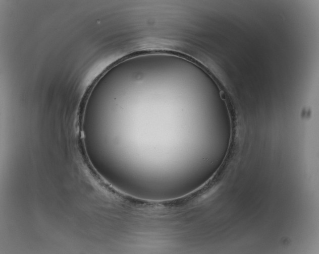 X0000111230885200907021356