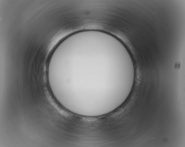 X0000111230886200907021356