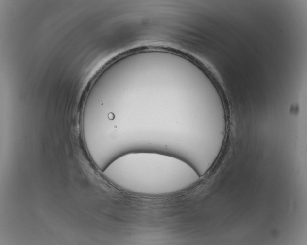 X0000111230887200907021356