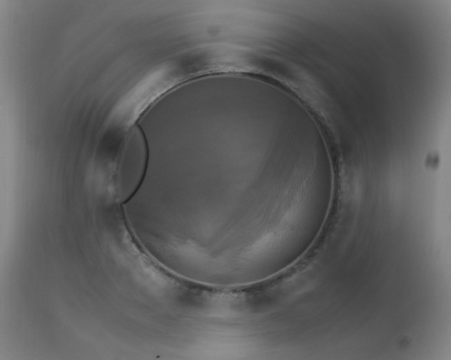 X0000111230889200907021356