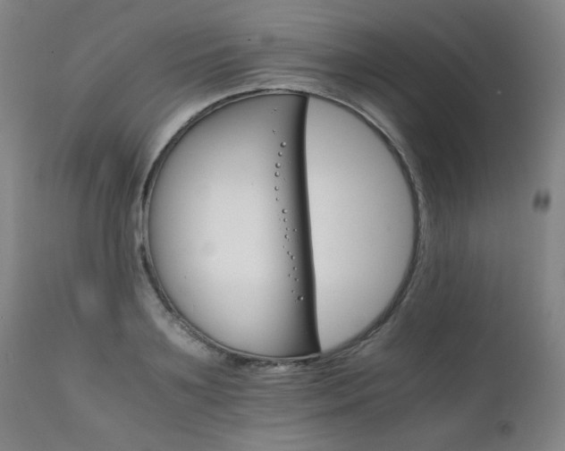 X0000111230891200907021356