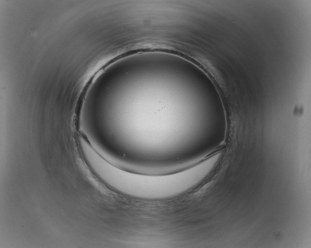 X0000111230893200907021356