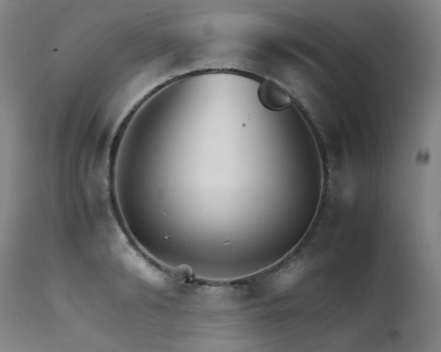 X0000111230894200907021356