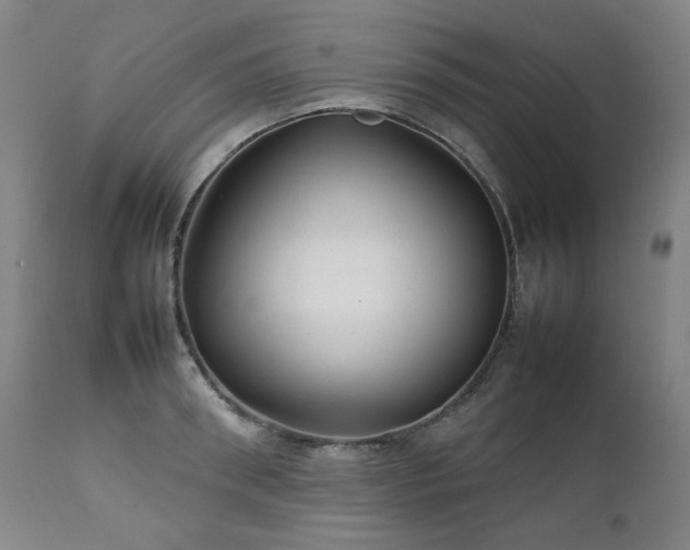 X0000111230898200907021356