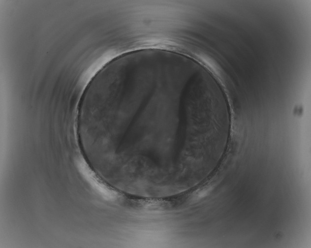X0000111230899200907021356