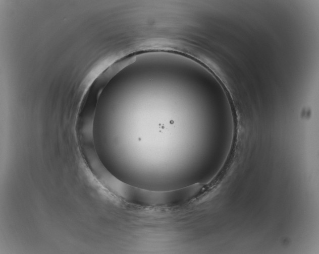 X0000111230901200907021356