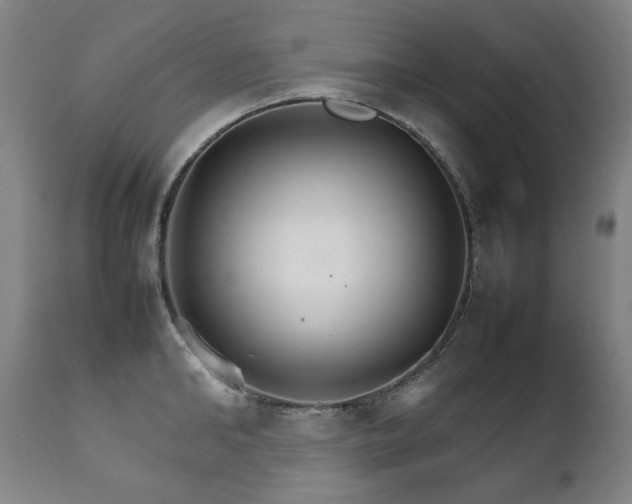 X0000111230902200907021356