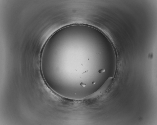 X0000111230903200907021356
