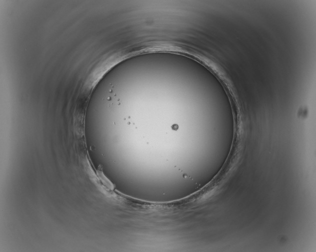 X0000111230905200907021356
